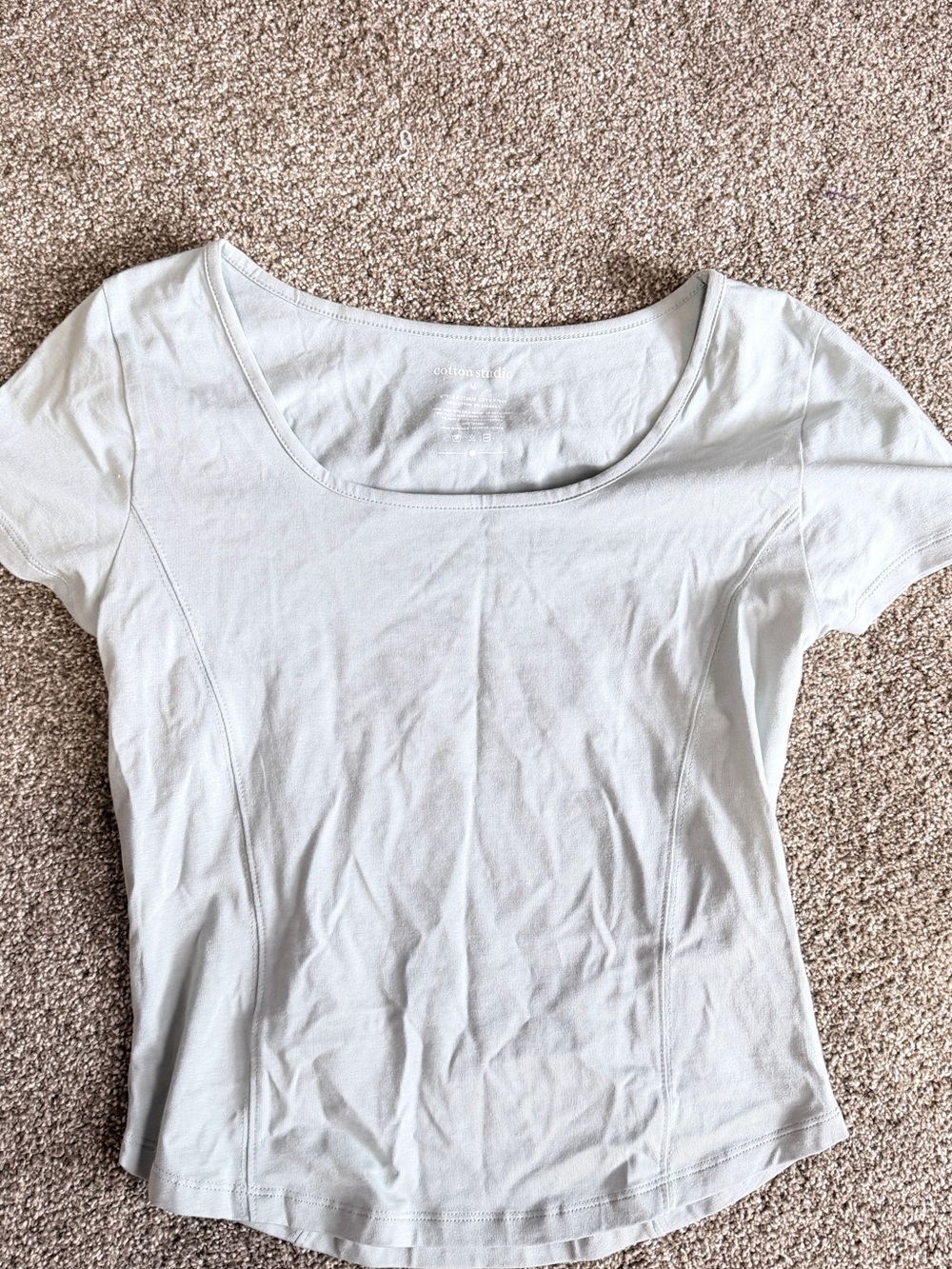 Scoop Neck Short Sleeve Tee in Light Sage